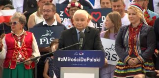 Światła opozycja nadal się niczego nie nauczyła i szydzi z grzybobrania