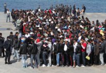 Afera wizowa jak paragony grozy znad morza i czereśnie po 200 zł za kilogram